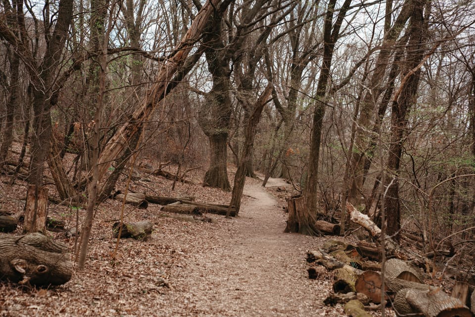 Council Proposes New Earth Day Bills That Parks Department Finds Redundant